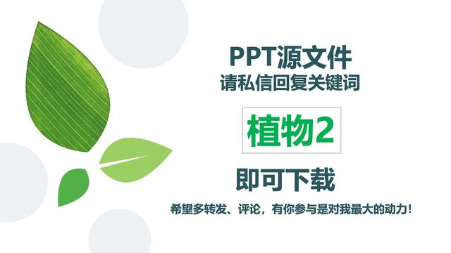植物系列，PPT小清新模板——免费下载