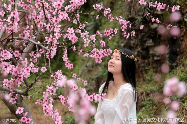 <a href='https://www.qiaoshan022.cn/tags/taohuayuanji_5339_1.html' target='_blank'>桃花源记</a> Story of the Peach Blossom Valley（感受别样文化）