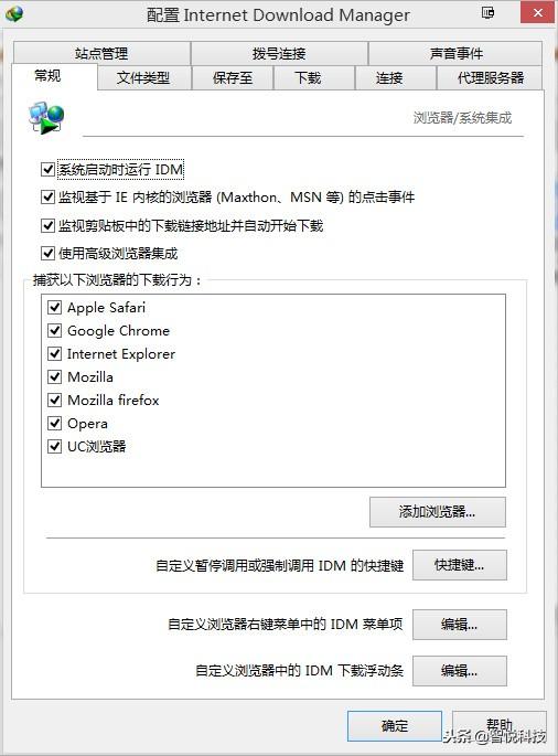 下载神器—InternetDownloadManager6.31 Build9简体中文版