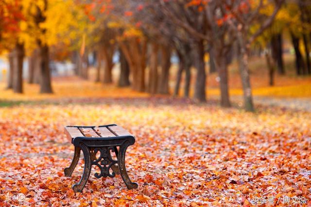 《秋天的怀念》是已故作家史铁生的散文，读了此文就会想起母亲！