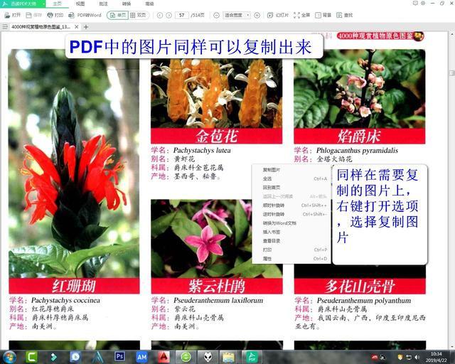 PDF文件的格式转换和图片复制
