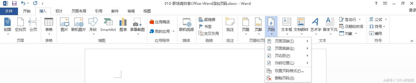 职场高效率Office-Word插入页码大全