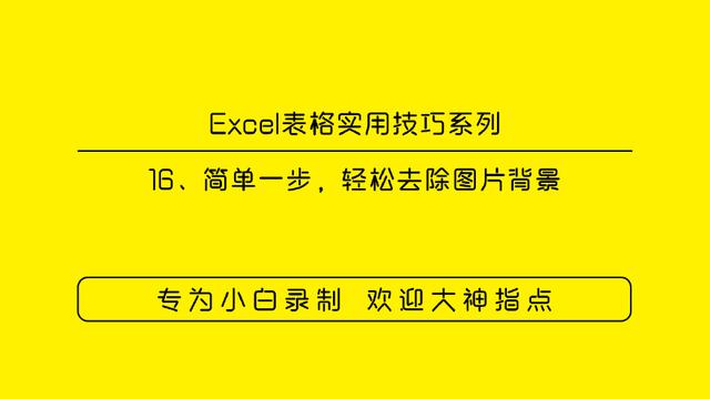 Excel<a href='https://www.qiaoshan022.cn/tags/biaogeshiyongjiqiao_16414_1.html' target='_blank'>表格实用技巧</a>16、简单一步，轻松去除图片背景
