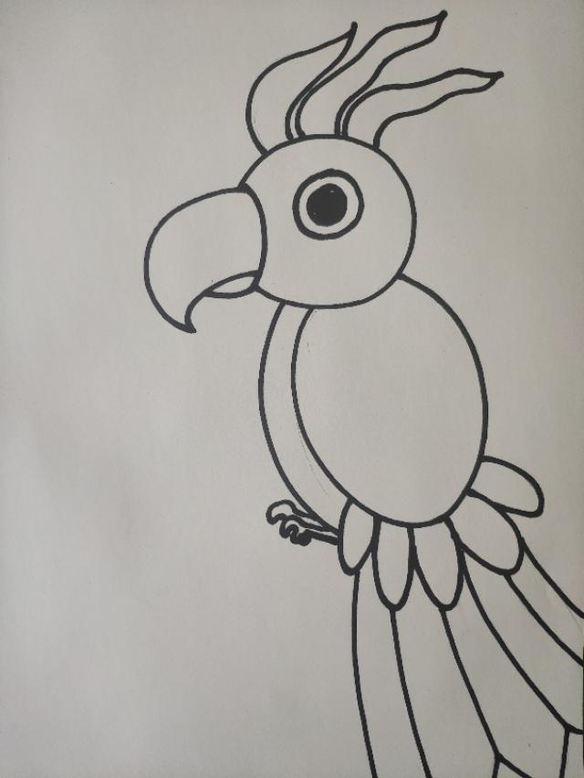 少儿美术：春天来了，小鹦鹉也要出来踏踏青，线描课件陪你过