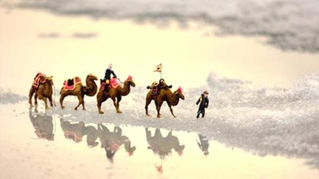 中国现代著名女作家林海音散文《冬阳·童年·骆驼队》，值得欣赏