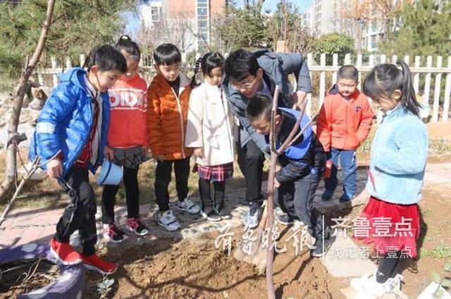 争做护绿小使者！泰安卓雅幼儿园开展植树节活动