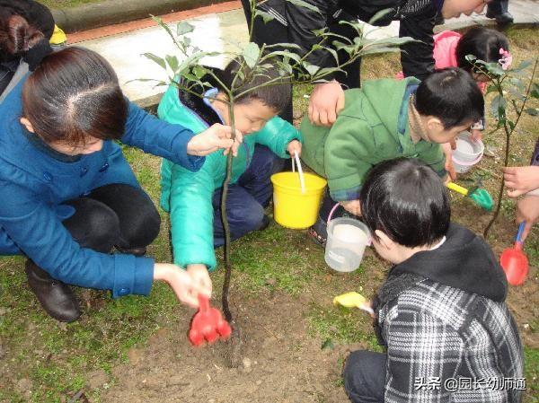 幼儿园植树节主题活动策划方案大全，看过的都收藏了