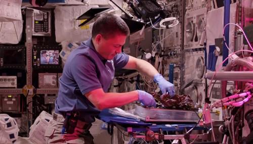 火星救援电影完整版迅雷下载 真实的NASA太空高科