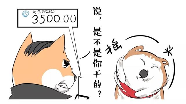800块的猫爪杯并不贵！这份PPT揭示了中国疯狂的宠物经济