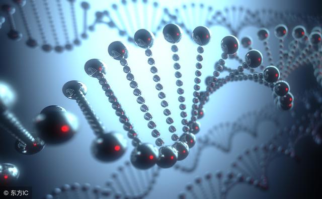 基因工程又称基因操作DNA技术，是技术能力的一次巨大飞跃