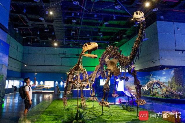 恐龙“突袭”广东省博物馆！和爸爸妈妈一起“坐飞船”穿越侏罗纪