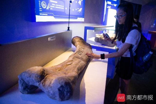 恐龙“突袭”广东省博物馆！和爸爸妈妈一起“坐飞船”穿越侏罗纪
