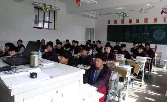 阿拉看环境｜40多年来，这所学校给上海带来了“金山银山”
