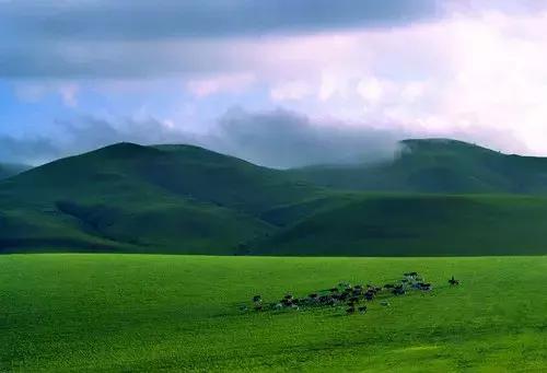 通辽市：这片古老而神圣的土地，成为科尔沁草原上新兴的旅游热点！
