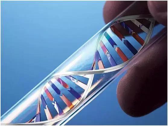 颠覆教科书！人类首次视频捕捉到DNA复制过程，不少细节将改变已有认知