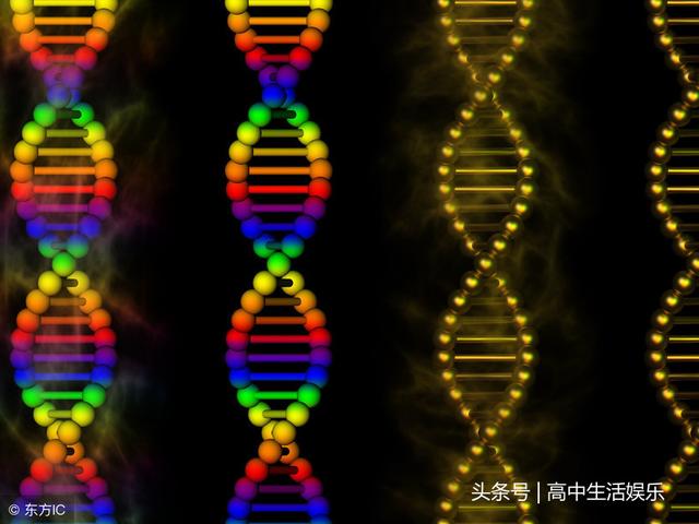 高中生物计算难点注意点：DNA复制相关计算题目
